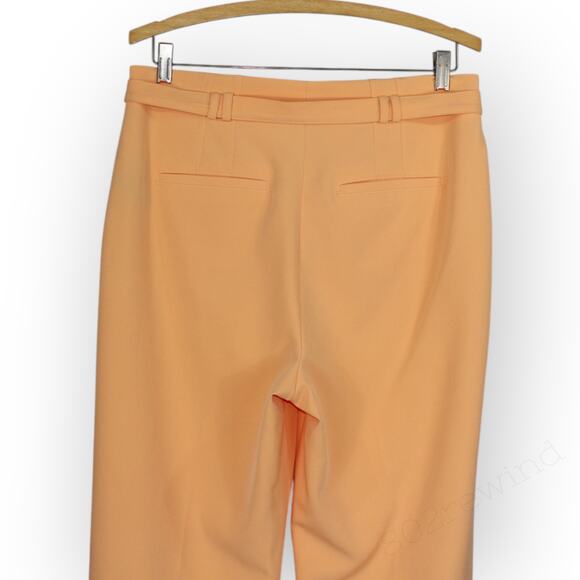 Sz 8 WHBM Fluid PantSuit Blazer + Belted Tapered Ankle Pant RayofLight - Picture 10 of 14